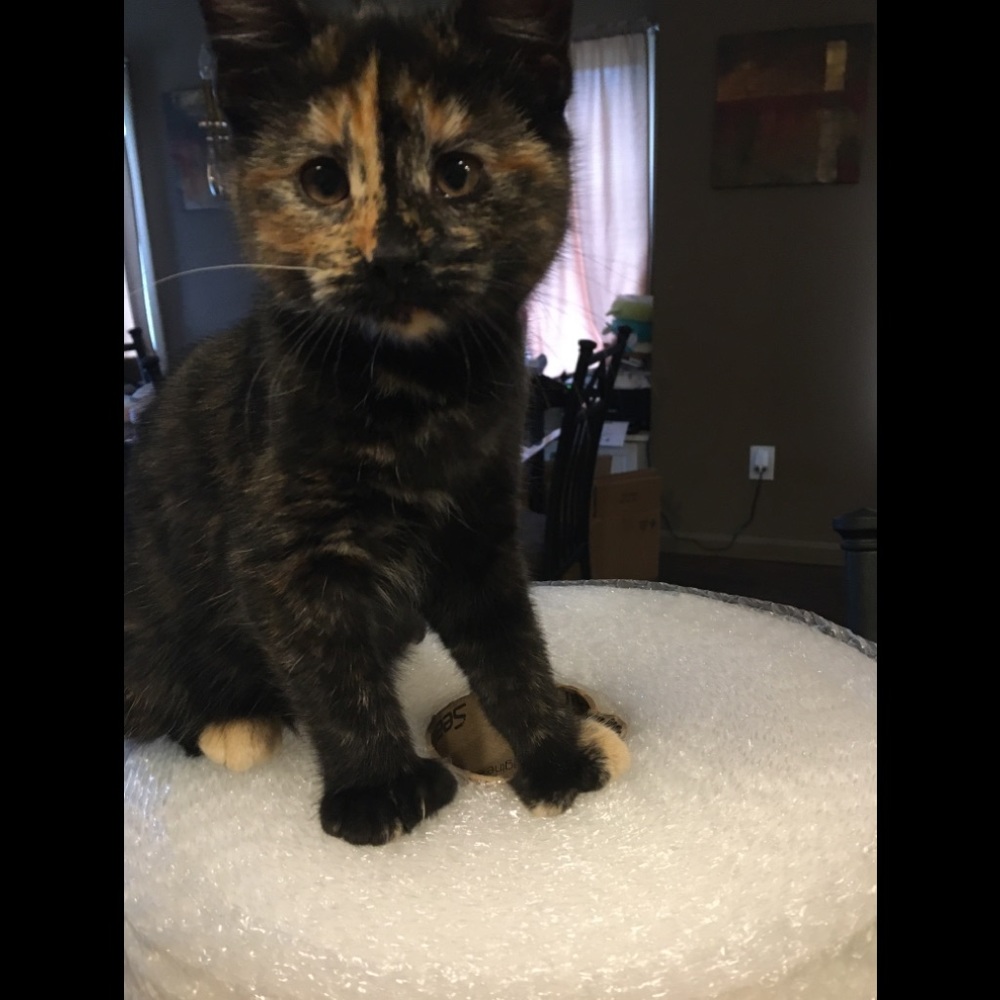 P L E A S E   R E A D